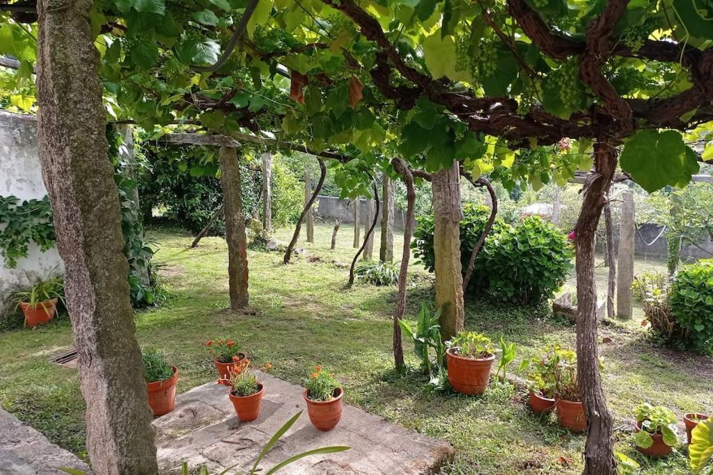 Villa A Barraca. Casa Con Jardin Y Vistas A La Ria Bueu Esterno foto